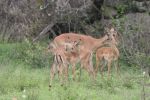 safrica_dec_13_image7.jpg
